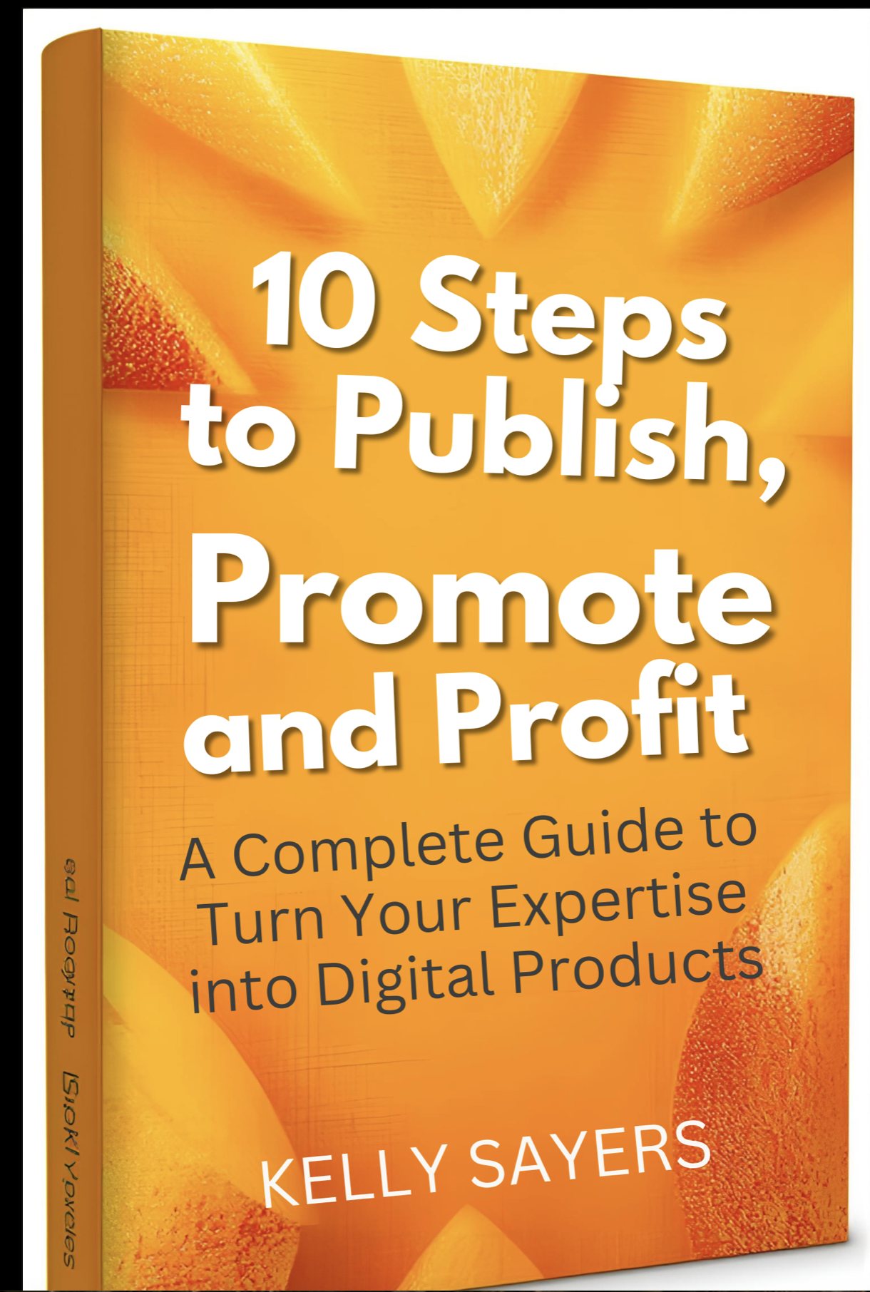 10 Steps to Publish, Promote and Profit — book cover